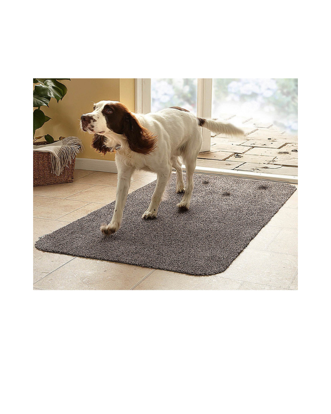 PawGuard Anti-Slip Mat
